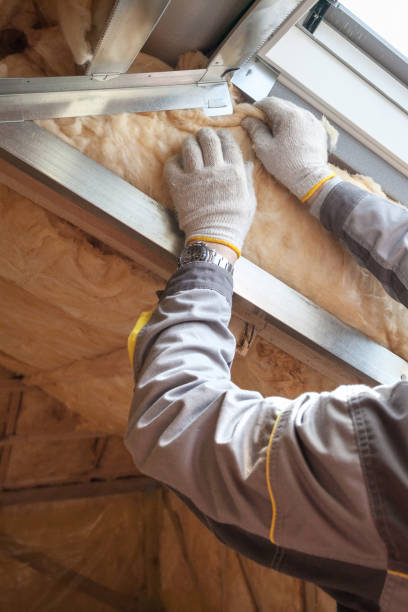 Best Energy-efficient Insulation  in Galesburg, IL