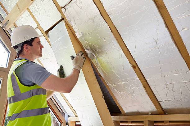 Best Garage Insulation Installation  in Galesburg, IL